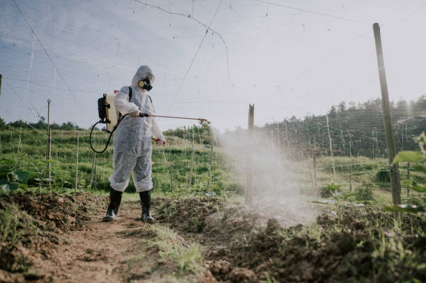 Best Best Pest Control Companies  in Farmerville, LA