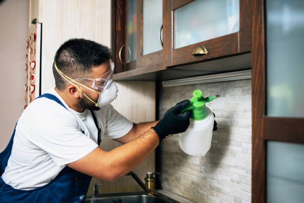 Best Mosquito Control Services  in Farmerville, LA