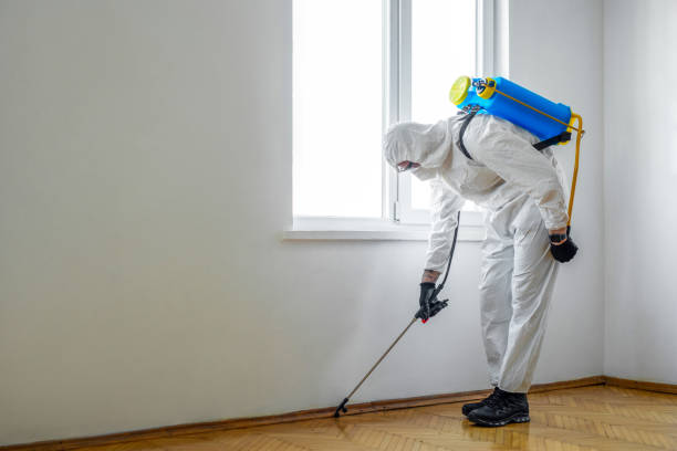 Best Best Pest Control Companies  in Farmerville, LA