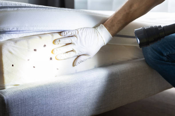 Best Commercial Pest Control Services  in Farmerville, LA