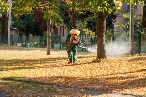 Best Wasp Removal Services  in Farmerville, LA