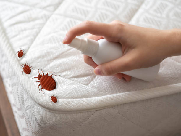 Professional Pest Control in Farmerville, LA