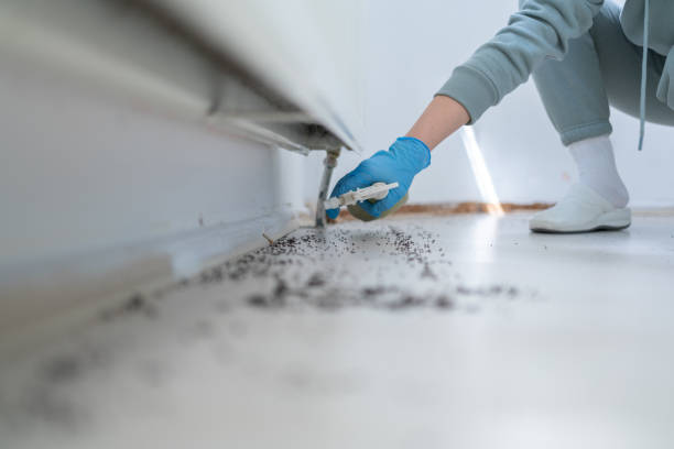 Best Exterminator Services  in Farmerville, LA